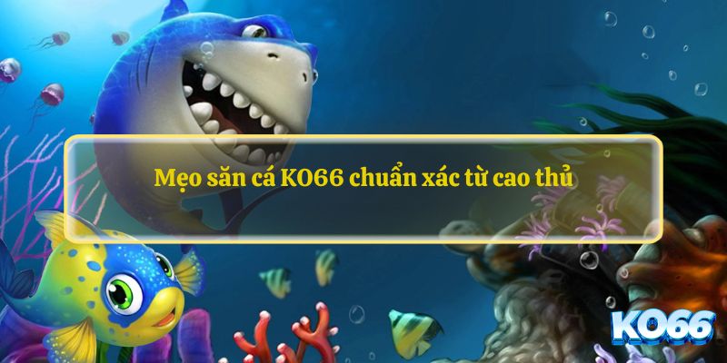 Mẹo săn cá KO66 chuẩn xác từ cao thủ