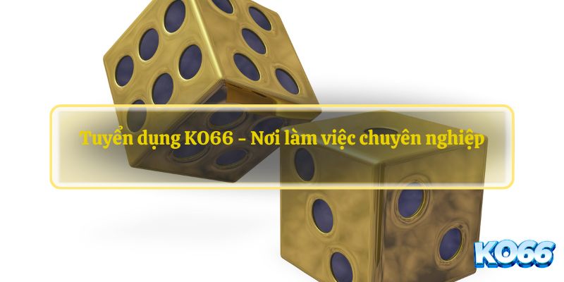 Tuyển dụng KO66 - Nơi làm việc chuyên nghiệp