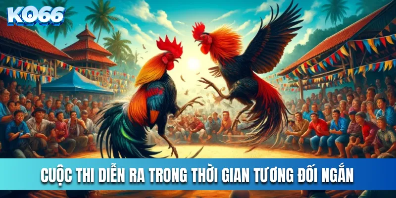 Cuộc thi diễn ra trong thời gian tương đối ngắn