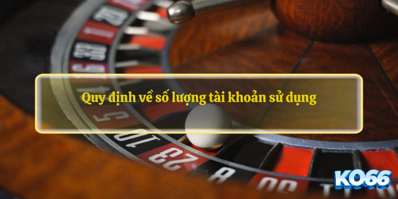 Quy định về số lượng tài khoản sử dụng