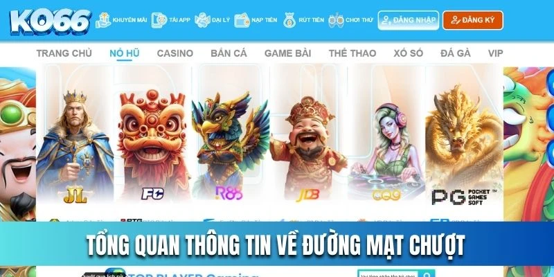 Tổng quan thông tin về đường mạt chượt